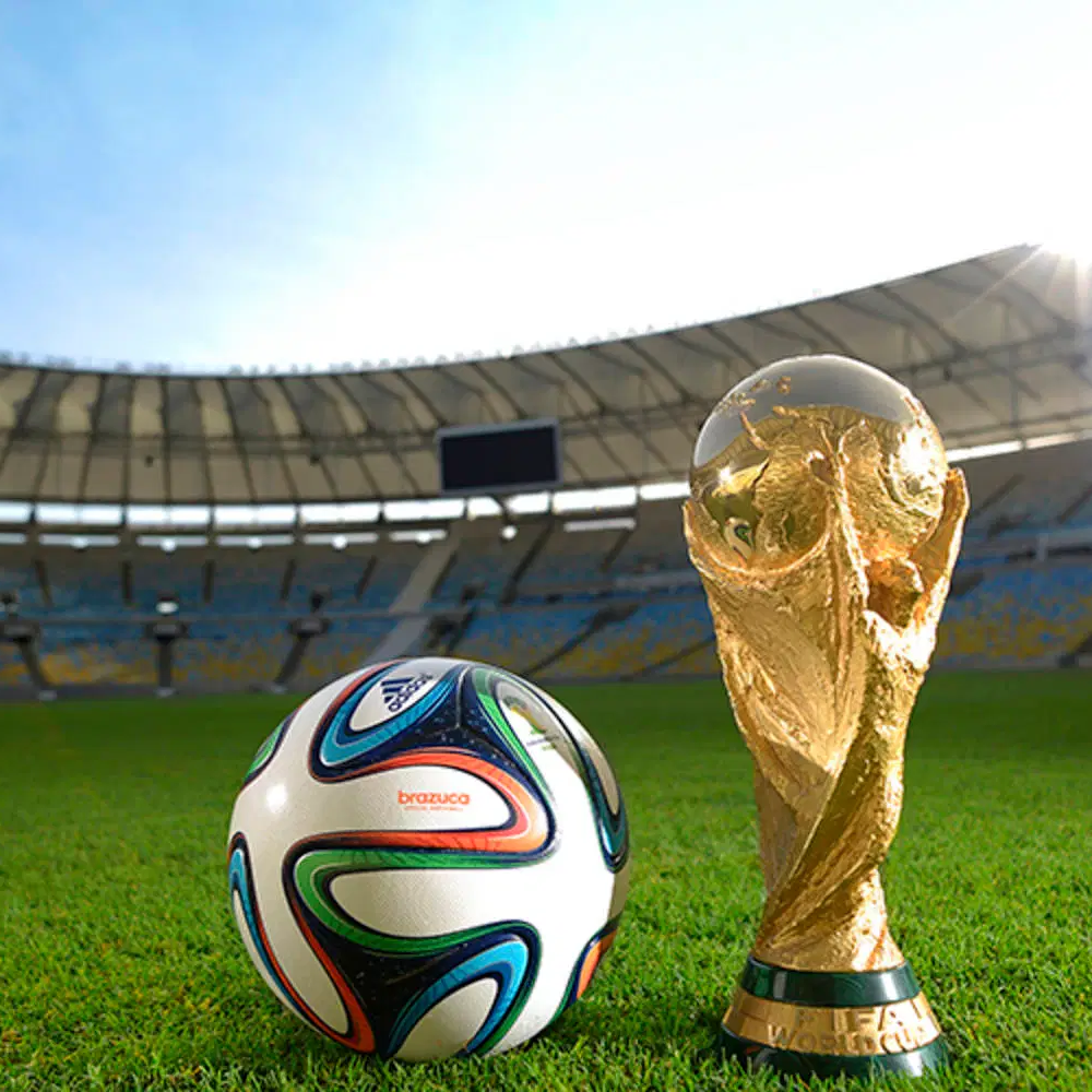 荷兰门神诺,珀特,探寻其神秘,皇冠体育app下载,皇冠体育官网,澳门皇冠体育,bet皇冠体育在线