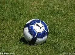 新西兰仅比,国足低一位,排名,皇冠体育app下载,皇冠体育官网,澳门皇冠体育,bet皇冠体育在线